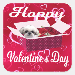 Autocollant de Saint-Valentin de tzu de Shih,