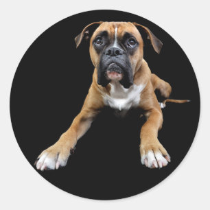Autocollant de salutation Boxer Chien Puppy Noir