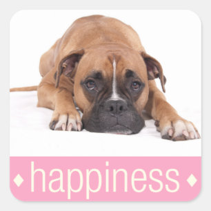 Autocollant de salutation Chien Boxer Puppy Bonheu