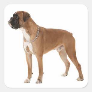 Autocollant de salutation Chien Boxer Puppy Love