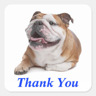 Autocollant de salutation Chien Bulldog Mignon Mer