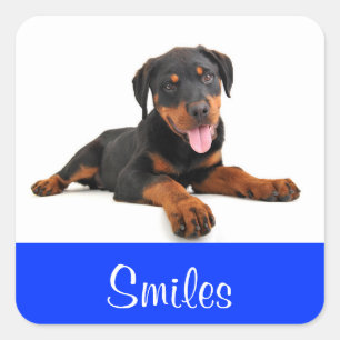 Autocollant de salutation Chien Rottweiler Sourire