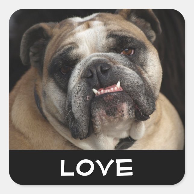 Autocollant de salutation pour chiot bouledogue an (Devant)