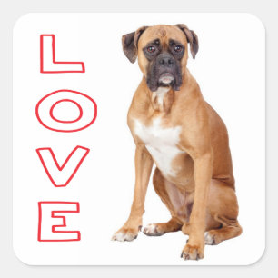 Autocollant de salutation pour chiot Boxer