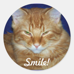 Autocollant de sourire de chat tigré orange
