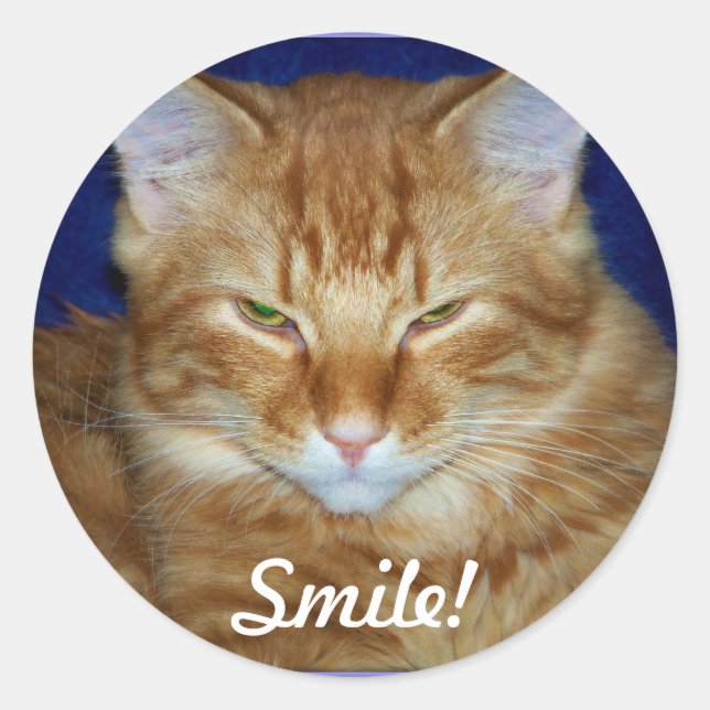 Autocollant de sourire de chat tigré orange (Devant)