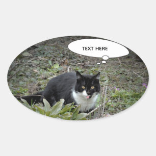 Autocollant de texte personnalisé de photo de chat