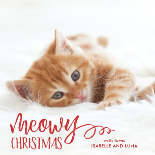 Autocollants Stickers Amoureux Des Chats Zazzle Fr