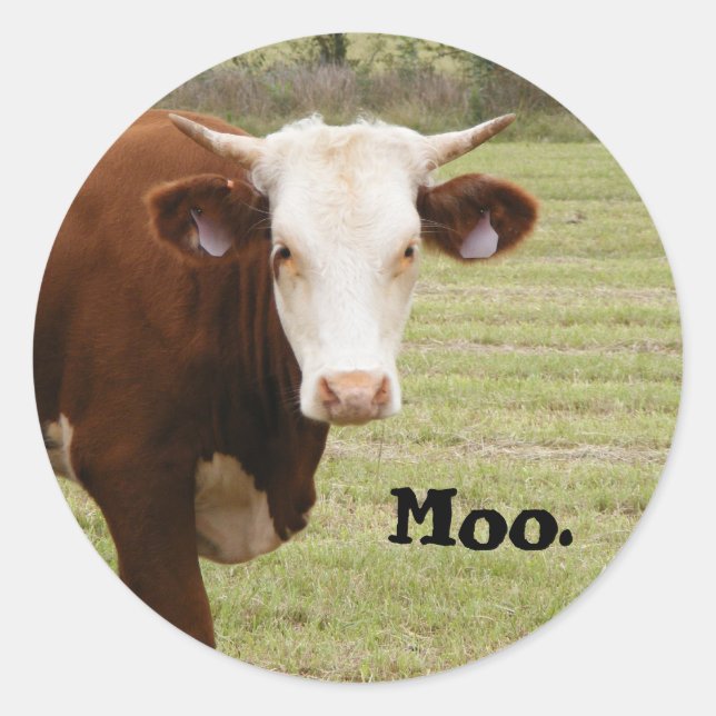 Autocollant de vache : "Moo." (Devant)