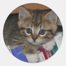 Autocollant de ver de livre