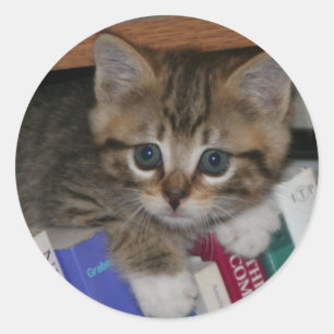 Autocollant de ver de livre