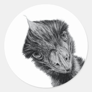 Autocollant de visage d'émeu drôle   Art d'oiseau 