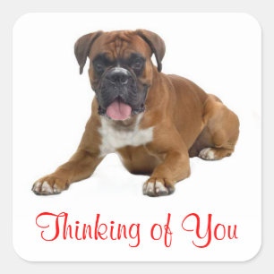Autocollant de vœux pour chiot boxer "Thinking of