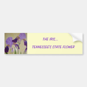 AUTOCOLLANT DE VOITURE 087, L'IRIS…, FLEUR D'ÉTAT DU TENNESSEE