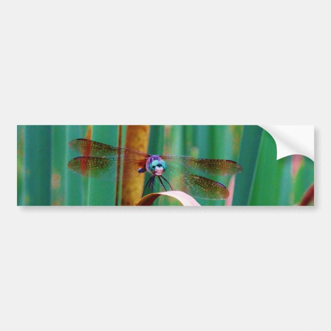 Autocollant De Voiture A teal Eyed Dragonfly with cattails (Devant)