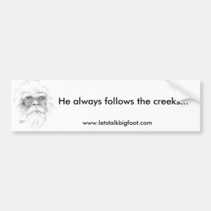 Autocollant De Voiture Adhésif pour pare-chocs