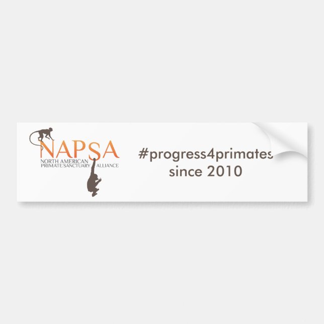 Autocollant De Voiture Adhésif pour pare-chocs (Devant)