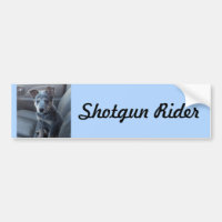 Adhésif pour pare-chocs bleu de chiot de Heeler