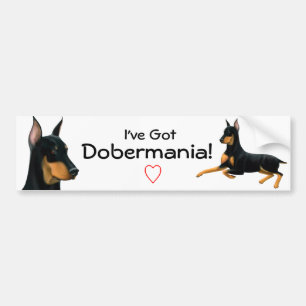 Autocollant De Voiture Adhésif pour pare-chocs d'amour de Pinscher de