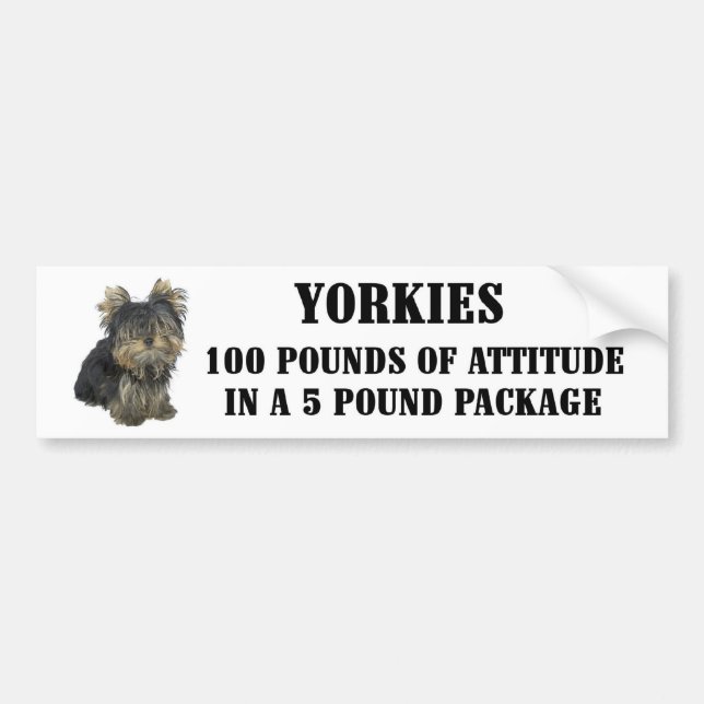 Autocollant De Voiture Adhésif pour pare-chocs d'attitude de Yorkie (Devant)