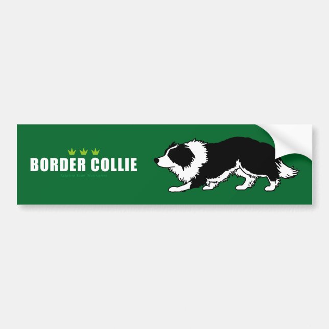 Autocollant De Voiture Adhésif pour pare-chocs de border collie (Devant)