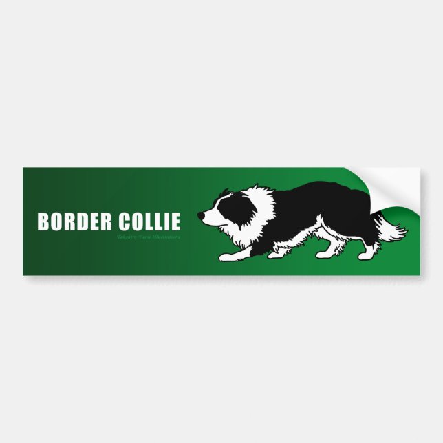 Autocollant De Voiture Adhésif pour pare-chocs de border collie (Devant)