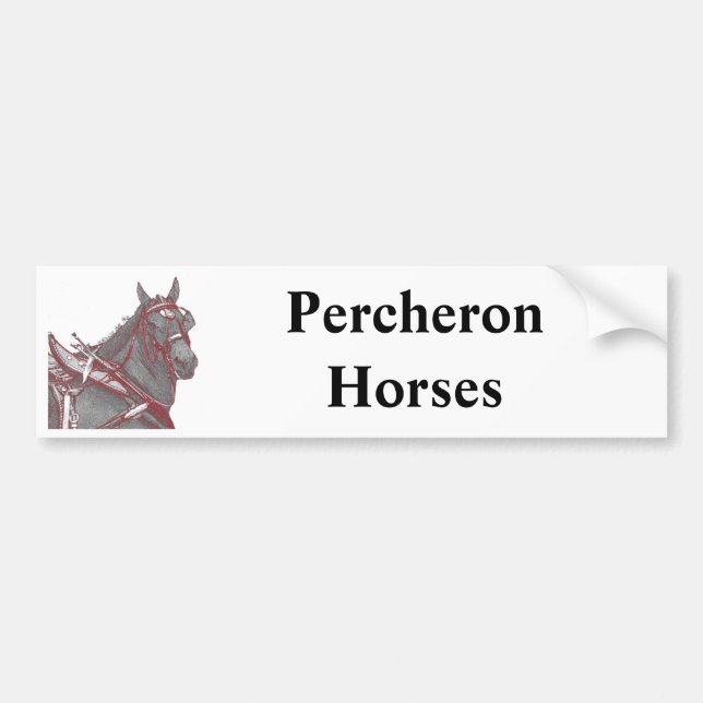 Autocollant De Voiture Adhésif pour pare-chocs de cheval de Percheron (Devant)