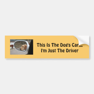 Autocollant De Voiture Adhésif pour pare-chocs de chien