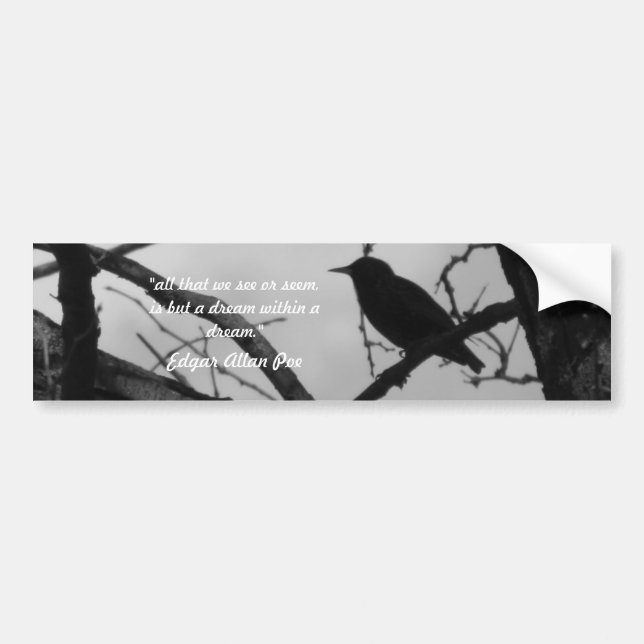 Autocollant De Voiture Adhésif pour pare-chocs de corneille (Devant)