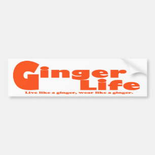 Autocollant De Voiture Adhésif pour pare-chocs de la vie de gingembre