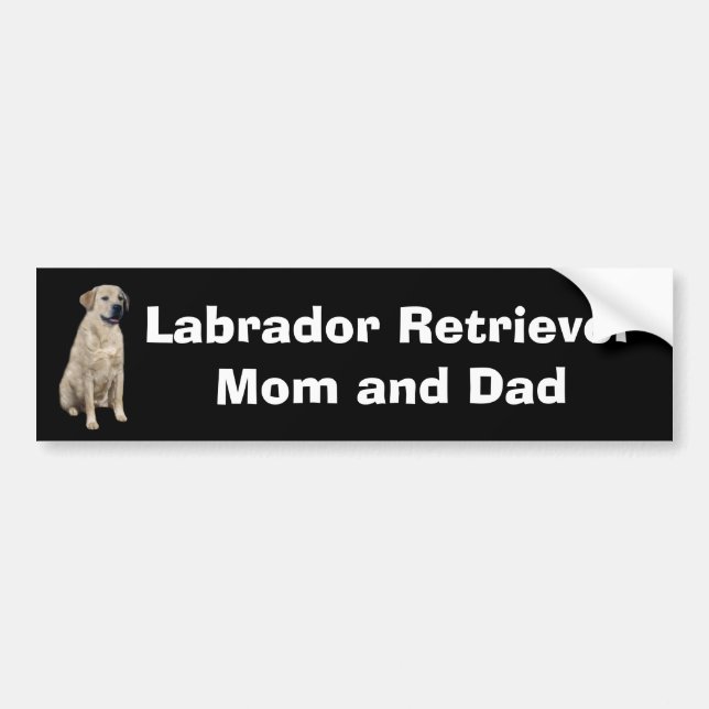 Autocollant De Voiture Adhésif pour pare-chocs de labrador retriever (Devant)