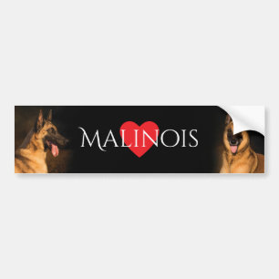 Autocollant De Voiture Adhésif pour pare-chocs de Malinois