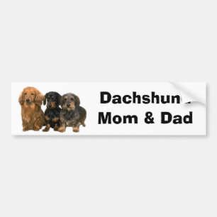 Autocollant De Voiture Adhésif pour pare-chocs de maman et de papa de