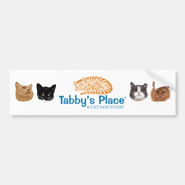 Autocollant De Voiture adhésif pour pare-chocs de Multi-portrait (Devant)