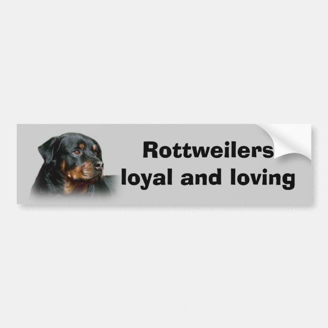 Autocollant De Voiture Adhésif pour pare-chocs de rottweiler (Devant)