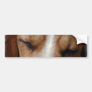 Autocollant De Voiture Adhésif pour pare-chocs de sommeil de beagle