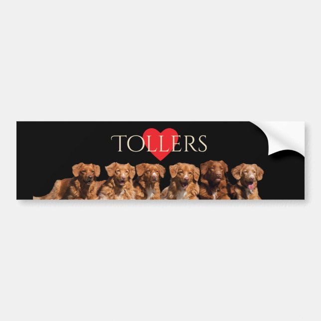 Autocollant De Voiture Adhésif pour pare-chocs de tintement de chiens (Devant)
