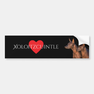 Autocollant De Voiture Adhésif pour pare-chocs de Xoloitzcuintle