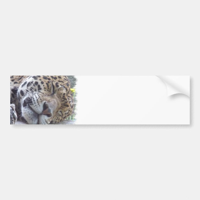 Autocollant De Voiture Adhésif pour pare-chocs d'image de léopard (Devant)