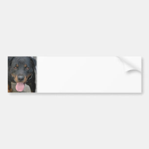 Autocollant De Voiture Adhésif pour pare-chocs d'image de rottweiler