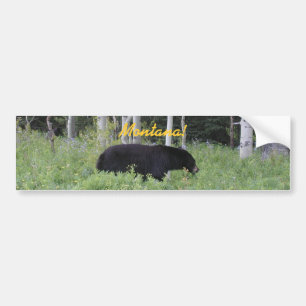 Autocollant De Voiture Adhésif pour pare-chocs du Montana d'ours