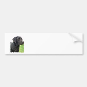 Autocollant De Voiture Adhésif pour pare-chocs noir de labrador retrieve