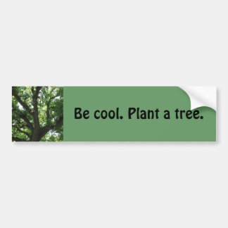 Autocollant De Voiture Adhésif pour pare-chocs "plantez arbre"