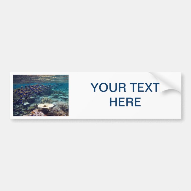 Autocollant De Voiture Adhésif pour pare-chocs - poisson de chirurgien de (Devant)