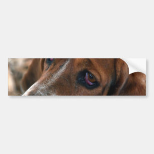 Autocollant De Voiture Adhésifs pour pare-chocs de conception de Basset