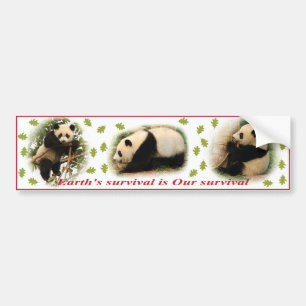 Autocollant De Voiture Adhésifs pour pare-chocs de panda