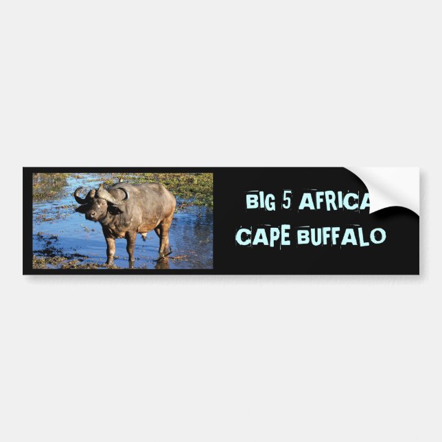Autocollant De Voiture Adhésifs pour pare-chocs de safari de Buffalo de (Devant)