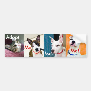 Autocollant De Voiture Adoptez un animal familier