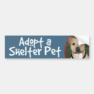Autocollant De Voiture Adoptez un animal familier d'abri - décalque