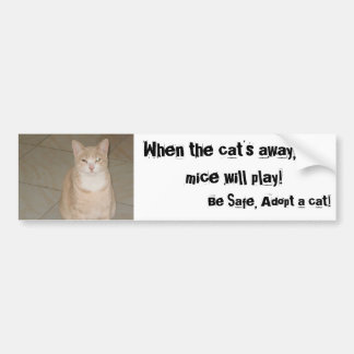 Autocollant De Voiture Adoptez un chat